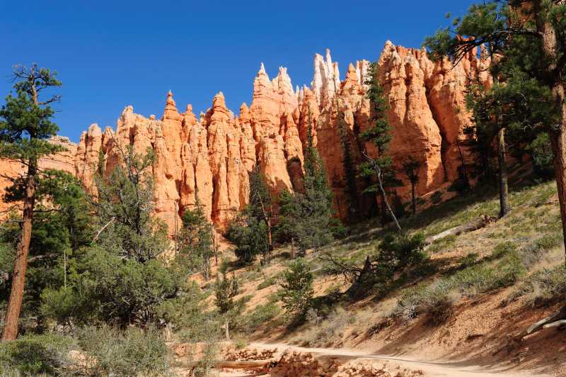 Bryce Canyon N.P., 10.2009