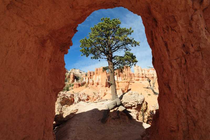 Bryce Canyon N.P., 10.2009
