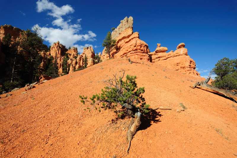 Red Canyon S.P., 10.2009