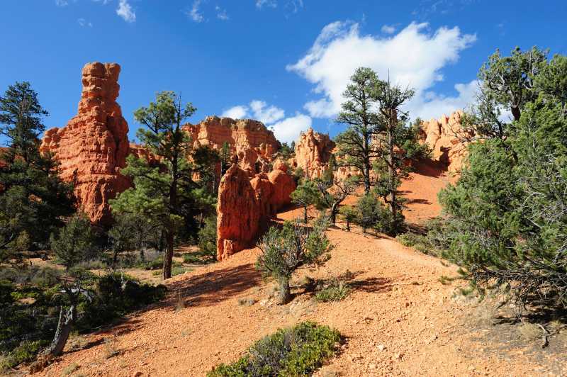 Red Canyon S.P., 10.2009