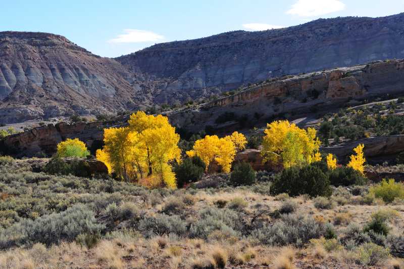 Colorado N.M., 10.2009