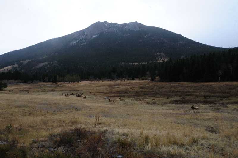Rocky Mountain N.P., 10.2009